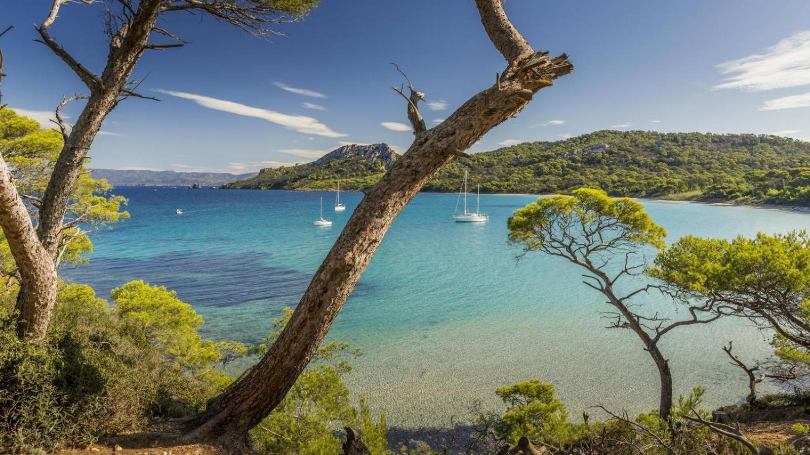Calme Et Confort En Rez-De-Jardin Ла-Лонд-ле-Мор Экстерьер фото